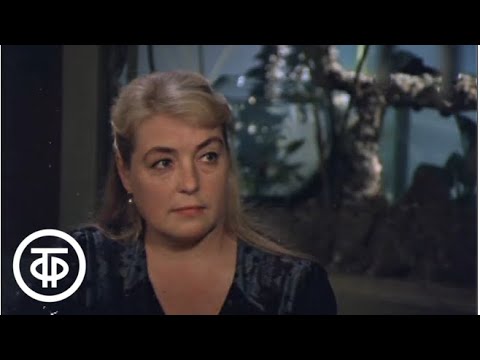 Видео: Шофер на один рейс. Серия 1 (1981)