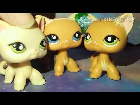 Видео: 💖LPS: НОВЫЕ ПЕТЫ💖