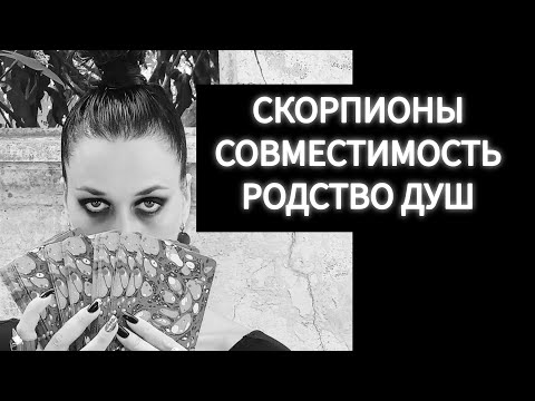 Видео: СКОРПИОНЫ🦂РОДСТВО ДУШ, СОВМЕСТИМОСТЬ С ДРУГИМИ🖤🖤ОТВЕТЫ НА ВОПРОСЫ.  ЧАСТЬ 2