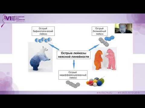 Видео: Попов Александр Михайлович - Как ставится диагноз острой лейкемии: иммунофенотипирование