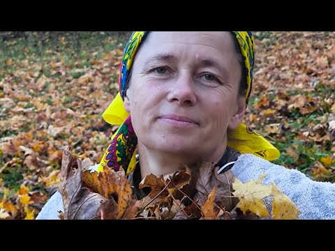 Видео: гарного дня всім друзі