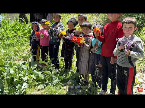 Видео: ТАДЖИКИСТАН/Хватит слушать других, смотрите сами/ Село Дарги шариф