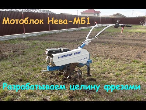 Видео: Пашем целину мотоблоком Нева