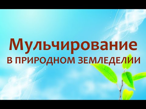 Видео: Природное земледелие - Мульчирование