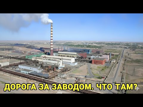 Видео: Медьзавод 2025