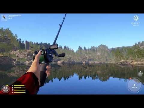 Видео: Russian Fishing 4: куори и палия (попалия)