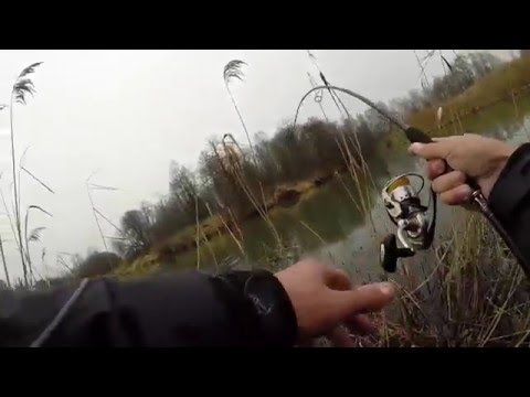 Видео: Осенняя ловля на джиг (техника и тактика ловли)