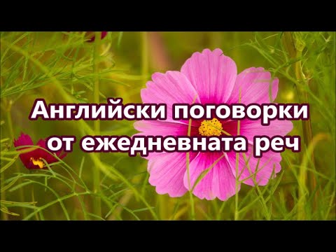 Видео: Уча английски: Английски поговорки от ежедневната реч + FREE PDF