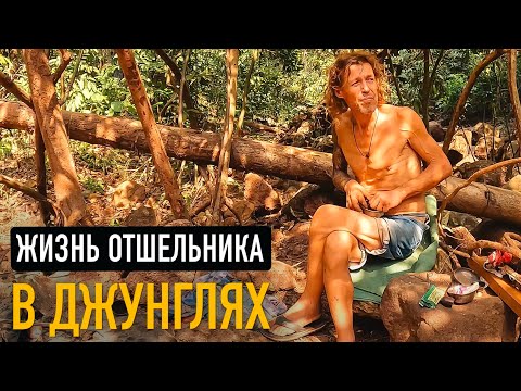 Видео: Встретил отшельника в джунглях ГОА. Зачем русские живут в джунгялих Индии? 🌴