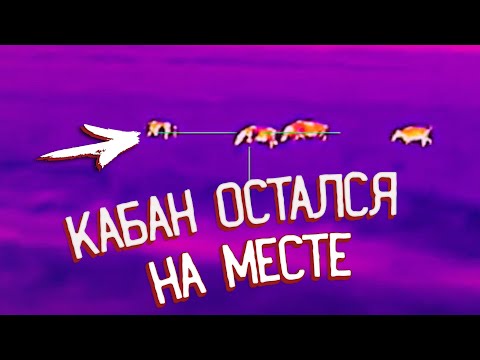 Видео: ТОП 6 выстрелов по кабанам
