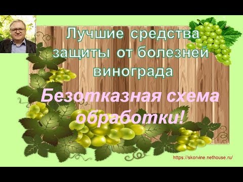 Видео: Лучшие средства защиты от болезней винограда. Часть 2. Безотказная схема обработки