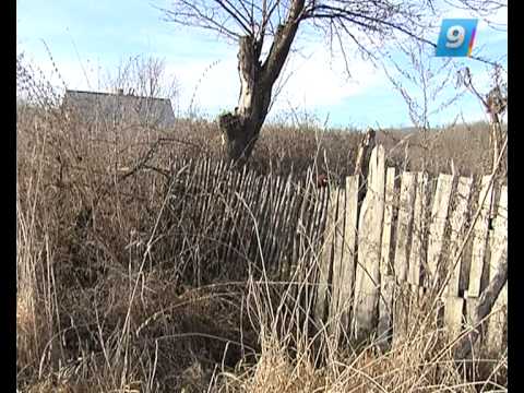 Видео: 20.12.12 Такая жизнь. Конец света в хуторе Байбарис