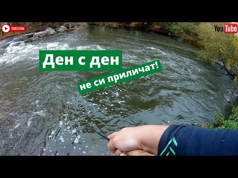 Видео: Тегав риболов на есенни кефали!