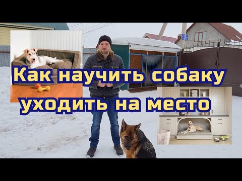 Видео: Как научить собаку уходить на место