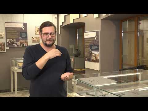 Видео: Позднеримский клад: находка в засечном лесу Тулы