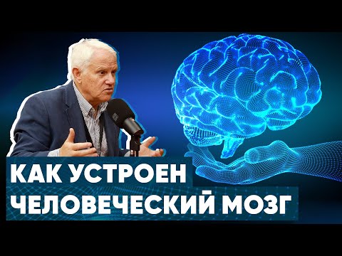 Видео: История человеческого мозга - Александр Каплан
