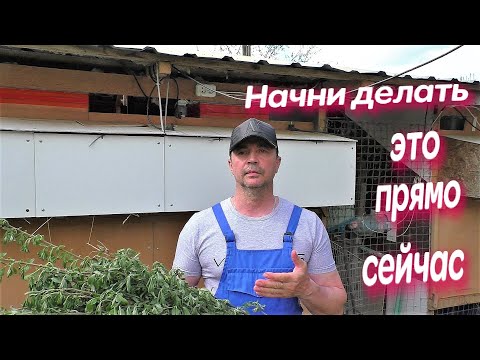 Видео: ПОЧЕМУ КРОЛИКИ НЕ РАСТУТ КОРМЛЕНИЕ КРОЛИКОВ ЛИЧНЫЙ ОПЫТ чем лучше кормить кроликов