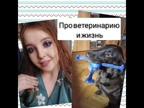 Видео: Триумфальное возвращение | Ветеринария, учеба и жизнь