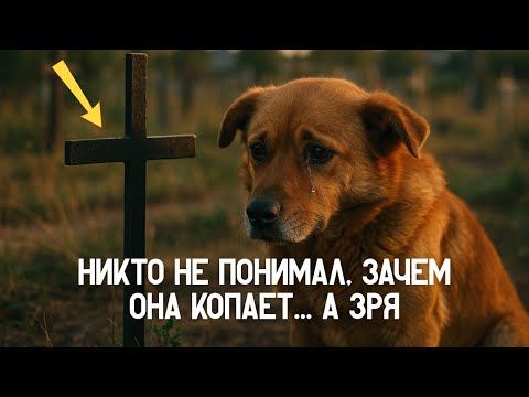 Видео: Собака копала землю у дороги… То, что она пыталась достать, разбивает сердце