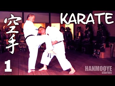 Видео: [Боевые искусства] Карате. Часть 1 - Китайское наследство