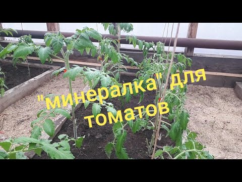 Видео: Удобрения и подкормки для  томатов.