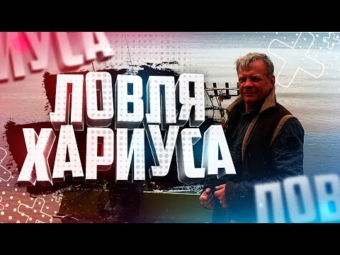 Видео: Ловля хариуса на Кораблик Онега Блюдо Сугудай Отшельник Дикий пляж
