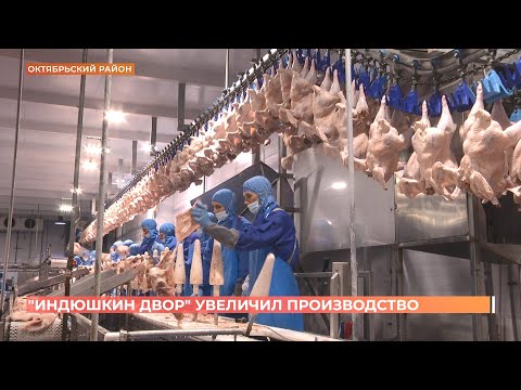 Видео: Компания "Индюшкин двор" в Октябрьском районе увеличила производство мяса индейки на 21%