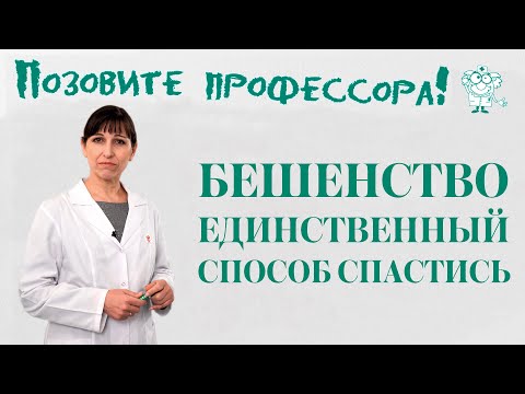 Видео: Бешенство. Единственный способ спастись