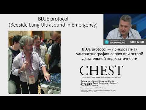 Видео: Ультразвуковое исследование легких и плевры в ОРИТ Лахин Р.Е. 23