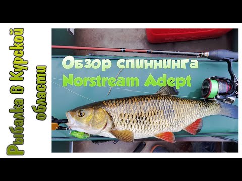 Видео: Обзор спиннинга Norstream Adept (Норстрим Адепт) по заказу Rybalkashop.ru. Тест крупными голавлями