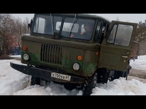 Видео: Как мы шишигу на ровном месте засадили