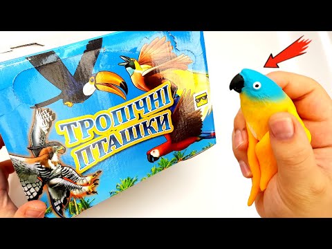 Видео: МОЙ ПОПУГАЙ - ЧТО С НИМ???  !!!  НОВЫЕ Стретч-игрушки Тропические птички #sbabam ОБЗОР ИГРУШЕК