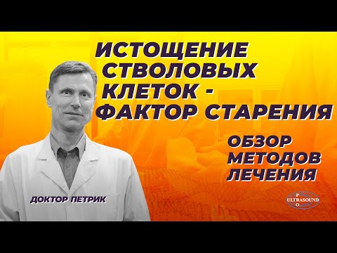 Видео: Истощение стволовых клеток - фактор старения. Обзор методов лечения.