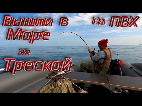 Видео: ВЫШЛИ В МОРЕ НА ПВХ ЛОДКЕ ЗА ТРЕСКОЙ! РЫБАЛКА НА ТРЕСКУ В БАРЕНЦЕВОМ МОРЕ НА КОЛЬСКОМ ПОЛУОСТРОВЕ