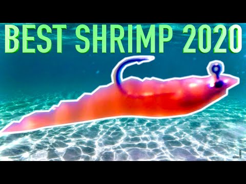 Видео: ЛУЧШАЯ НОВАЯ приманка для креветок! MMD Soft Prawn