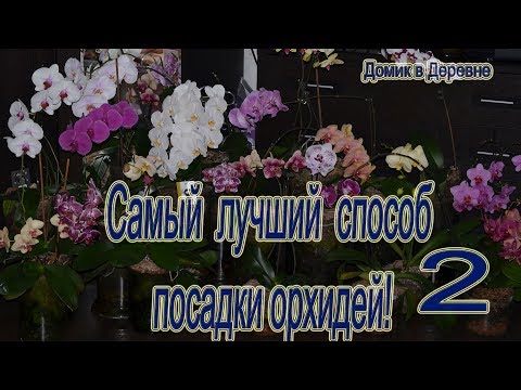 Видео: Самый лучший способ посадки орхидей  Фаленопсис  Часть 2. Закрытая система!