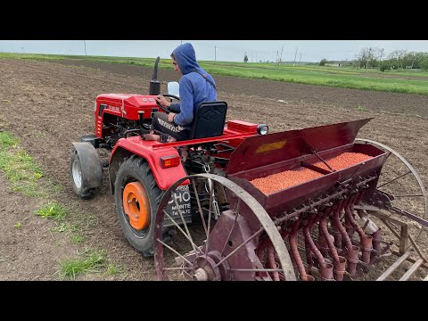 Видео: СІЄМО СОЮ👩‍🌾/ КІННОЮ СІВАЛКОЮ🔥