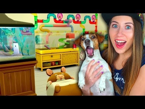 Видео: КОМНАТА ПИТОМЦЕВ В SIMS МОЙ ХОМЯК ИГРАЕМ ЛЕТСПЛЕЙ | Elli Di Pets