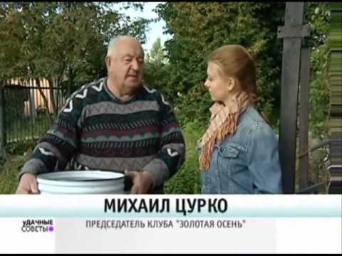 Видео: Домашнее вино из черноплодной рябины