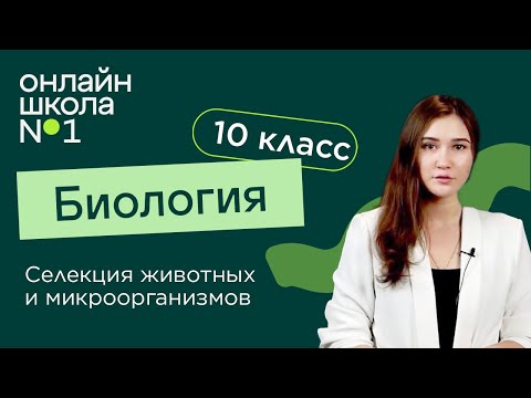 Видео: Селекция животных и микроорганизмов. Биология 10 класс. Видеоурок 34