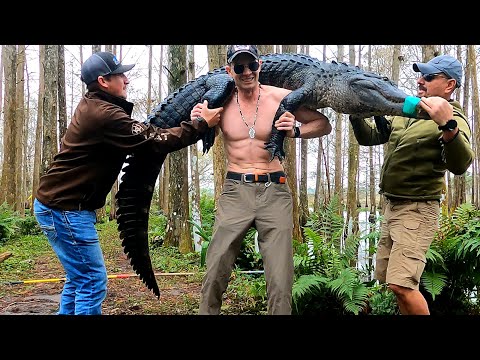 Видео: Что Будет Если Поймать Крокодила на Удочку