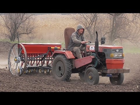 Видео: Посев ЛЮЦЕРНЫ Конной СЕЯЛКОЙ и Трактором SHIFENG !