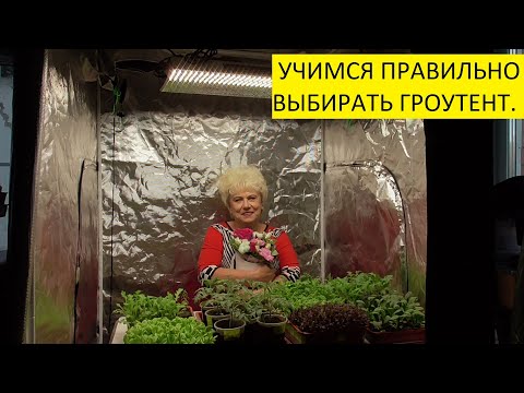 Видео: Я  ВЫБРАЛА БЫ ДРУГУЮ ПАЛАТКУ! Ольга Чернова.