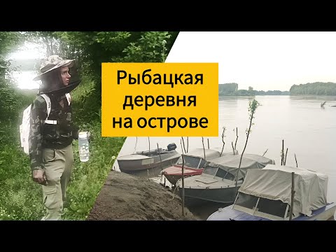 Видео: Рыбацкая деревня на Оби! Настоящее поселение рыбаков на острове в домах