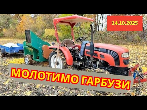 Видео: Молотимо гарбузи .... 14.10.2025рік