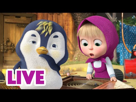Видео: 🔴 ПРЯМОЙ ЭФИР! LIVE Маша и Медведь 👱‍♀️🐻 Давай разбираться вместе! 🕵️‍♀️😉