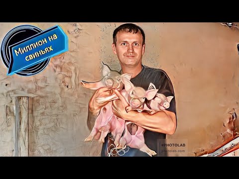 Видео: ‼️Крупные поросята‼️При опоросе‼️По 2,5 кг это хорошо или плохо? 