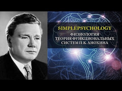 Видео: Физиология. Теория функциональных систем П.К. Анохина.