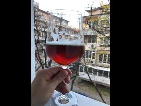 Видео: Венский лагер (Vienna Lager) / Янтарный лагер  на Ibrew 40 с отварками и дегустация.