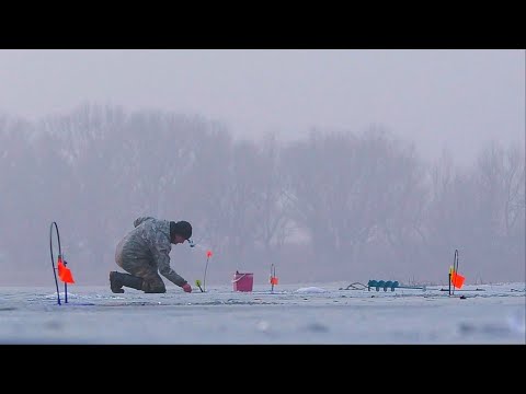 Видео: ОСТАВИЛ ЖЕРЛИЦЫ НА НОЧЬ. Рыбалка на щуку. Ищу бешеный клёв щуки.